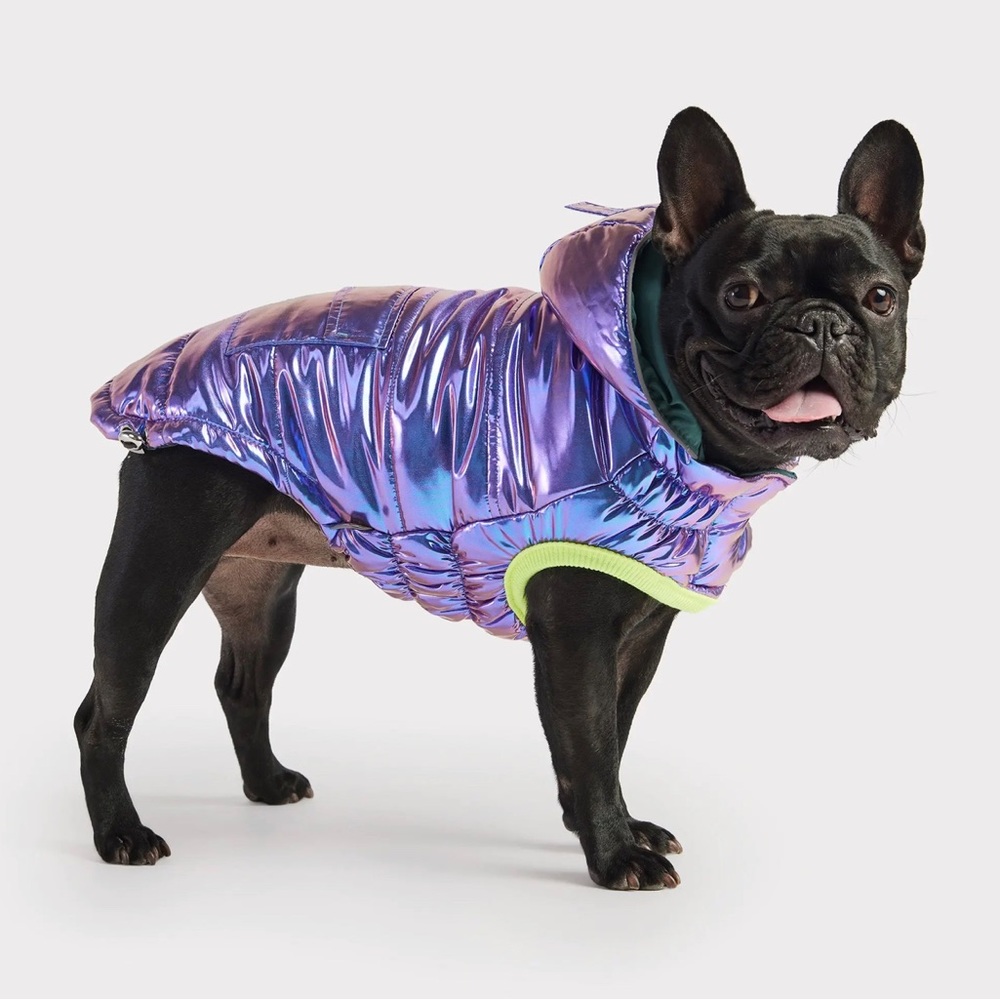 CF Pet Iridescent Parka Dog Coat